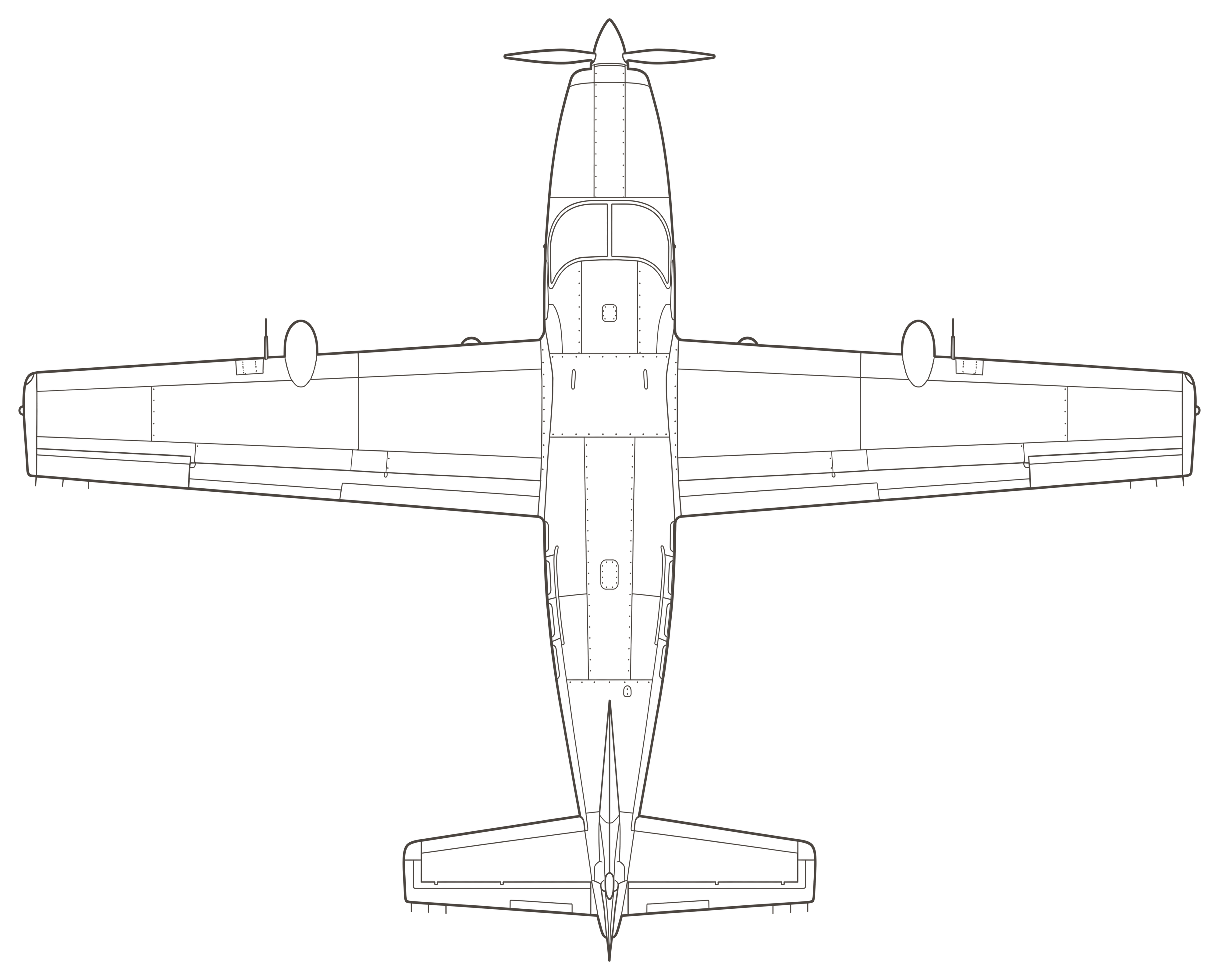 Grand Caravan, top view line drawing
